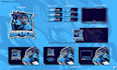 create custom animated twitch overlays, emotes, logo, and graphics for streamers