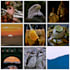 be your friendly photographer