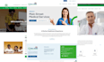 do wordpress web design only for 100usd