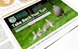 design professional newspaper ad, magazine ad, print advert or flyer