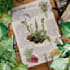 create a beautiful vintage botanical illustration poster