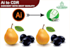 design product packaging, pouch, barcode labels and vector tracing