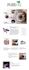 create amazon a plus pages or ebc pages for your asins