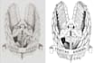 do manual vector tracing, recreate logo and convert image to vector file