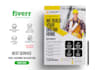 do corporate and professional business flyer design