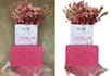 convert jpg image to png image, remove background