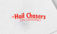 do amazing custom business logo design in 24hrs