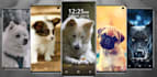 do 4k wallpaper app and live wallpaper changer