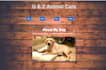 create responsive and custom website