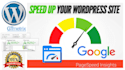 expert speed optimization for wordpress, woocommerce, and elementor sites