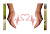 deliver quality nursing and public health research