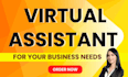 be your virtual assistant for data entry excel PDF typing