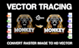 manually vector tracing, redraw, covert jpg to vector