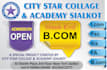 design an outstanding web and banners ads