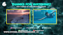do custom youtube end card end screen outro video