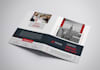 design a professional trifold or bifold brochure