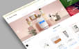 expertly manage shopify plus and custom store development