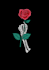 create illustration rose and skull or other