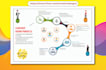 design business infographics instagram infographics in 12hrs