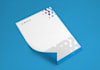 create a professional letterhead design