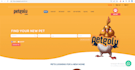 build your website in PHP codeigniter HTML CSS bootstrap