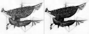 create a highly detailed pencil illustration