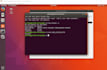 setup your server to use it as remote desktop