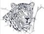 embroidery digitizing, logo, digitize image for embroidery in dst,pes,emb,jef