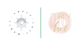 create your visual story brand logo