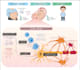 design and make your scientific illustrations and figures
