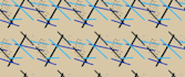 illustrate and design beautiful patterns