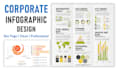 create custom infographic charts and data visualization for your business