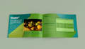 design creative professional flyer