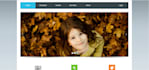 do any kind of web design or web development related work