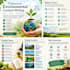write well researched environmental content
