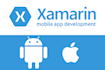 xamarin and xamarin forms developer