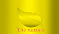 design any design on any subject