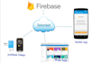 provide full iot solution with mobile app, cloud and esp32
