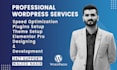 develop a professional and stunning wordpress website