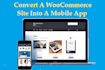 develop webview application for your website within one hour