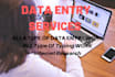 do any type of data entry, web scraping, data mining and web research