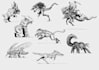 draw amazing creature concepts