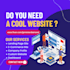 design, redesign develop custom ecommerce business website