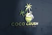 do professional business logo design for your brand