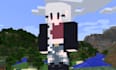 make you a detailed customized minecraft skin
