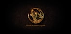 make gold logo intro animation