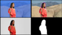 do professional vfx compositing, green screen, object removal for videos