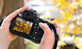 give you a photography class step by step online