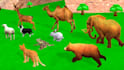 make hindi stories with animals for kids