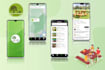 design responsive mobile app UI using net maui